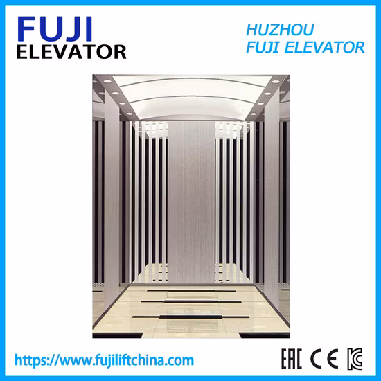 FUJI Passenger House Panoramic Cargo Observation Residential Elevator in China Factory