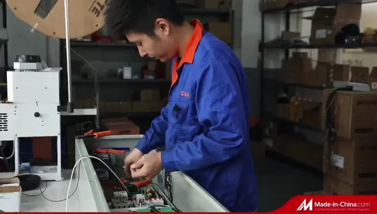 FUJI Passenger House Panoramic Cargo Observation Residential Elevator in China Factory